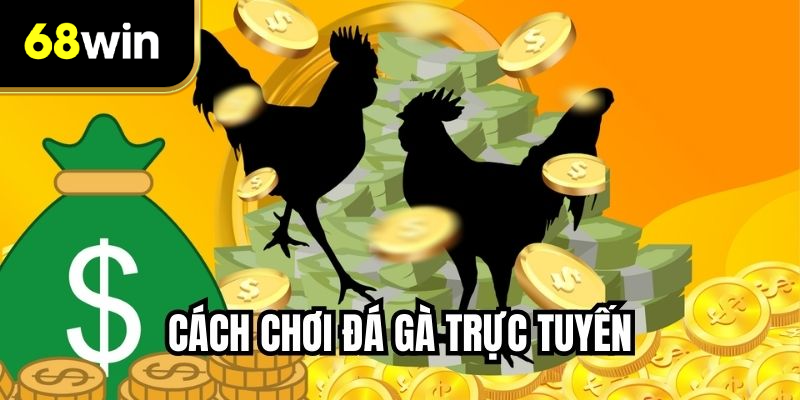 Cách Chơi Đá Gà Trực Tuyến - Hướng Dẫn Bước Cho Người Mới