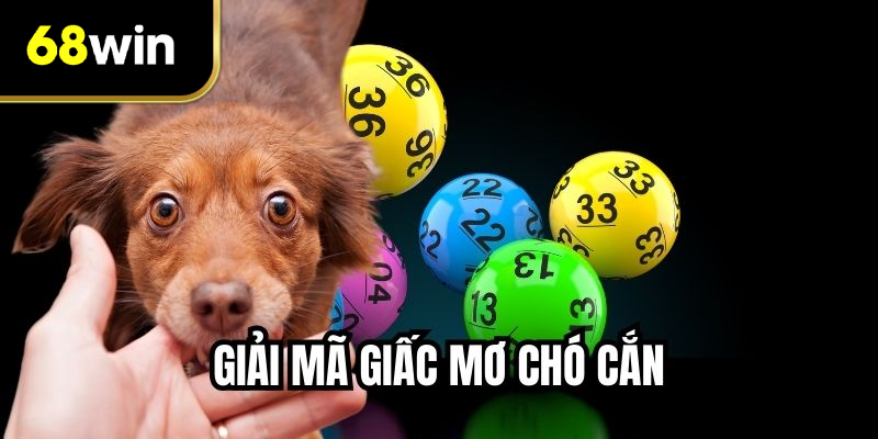Giải Mã Giấc Mơ Chó Cắn - Dự Đoán Con Số Chuẩn Xác