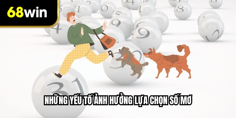 Những yếu tố ảnh hưởng lựa chọn số mơ