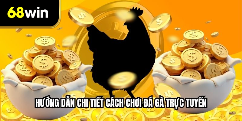 Hướng dẫn chi tiết cách chơi đá gà trực tuyến