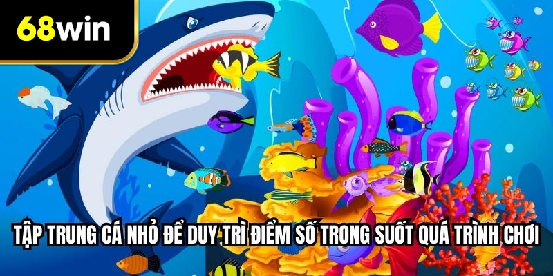 Tập trung cá nhỏ để duy trì điểm số trong suốt quá trình chơi