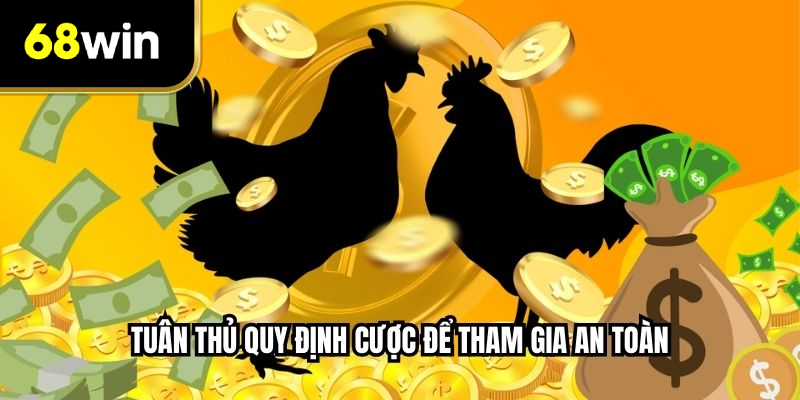 Tuân thủ quy định cược để tham gia an toàn